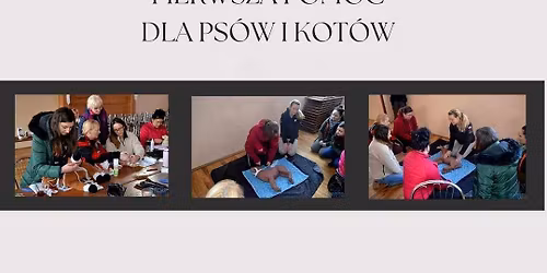 Pierwsza pomoc przedweterynaryjna dla ps\u00f3w i kot\u00f3w