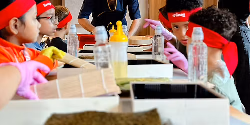 The Sushi Co- Little Sushi Masters (Brighton)