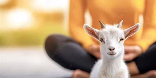 Baby Goat Yoga with Dr. Gold