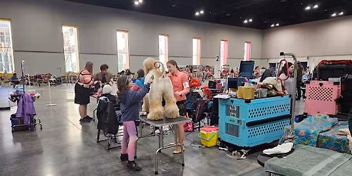 Norfolk Art and Craft Event