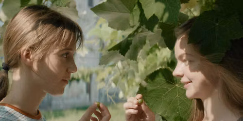 Pink Screens - LITTLE TROUBLE GIRLS