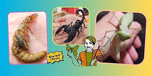 A Bug's Life with Ryan the Bug Man