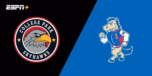 College Park Skyhawks at Delaware Blue Coats