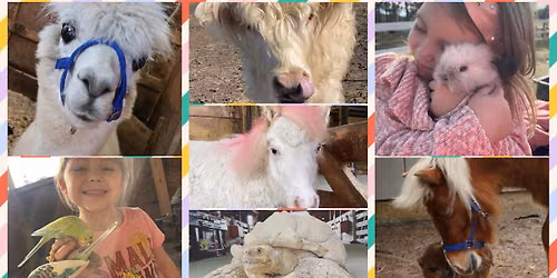 Family Farm Day\ud83d\udc34\ud83e\udd9c\u2665\ufe0f\ud83d\udc2e\ud83d\udc37
