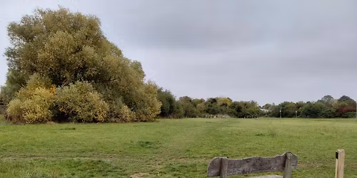 Spring Common Litter Pick