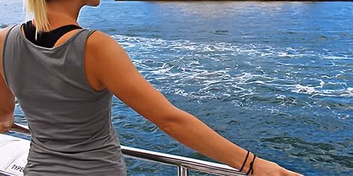 Sydney Harbour Hop-On Hop-Off Cruise with Taronga Zoo Entry Tickets