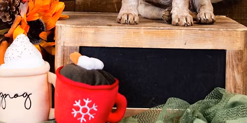 Adoption Event 11\/15 and 11\/16