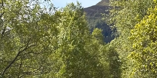 Fannetrakken