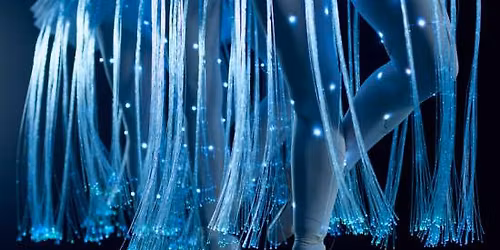 Ballet of lights: La Bella Addormentata in un affascinante spettacolo di luci