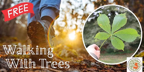 Walking with Trees: Free Guided Walk (December)