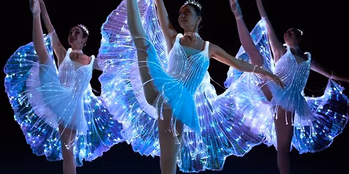 We Call It Ballet: Sleeping Beauty Dance and Light Show