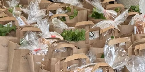 Hands of Hope: Community Food Pantry Distribution