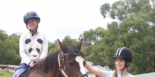 School Holiday Fun Day for Non-Horse Owners