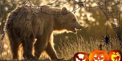 Slik eller ballade i Skandinavisk Dyrepark🎃