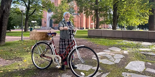 Opastettu kierros: Pyykk\u00e4ri-Alman Wanha Pori