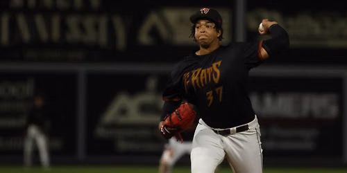 Quad Cities River Bandits vs. Wisconsin Timber Rattlers