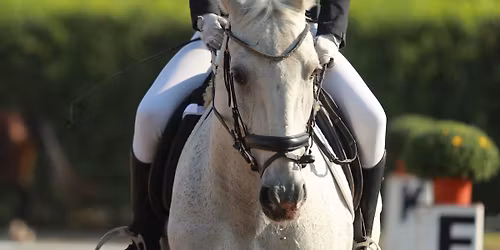 Ut\u00e1np\u00f3tl\u00e1s Verseny