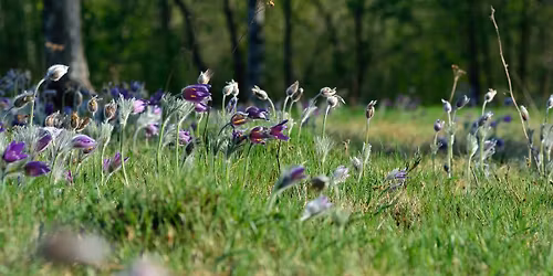 Kretstr\u00e4ff f\u00f6r Naturskyddsf\u00f6reningens kretsar i Kronoberg 
