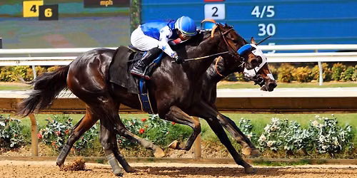 Del Mar Thoroughbred Racing - Thursday