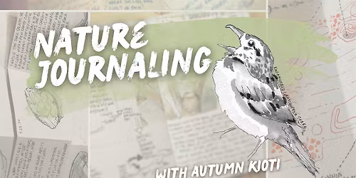 Nature Journaling with Autumn Kioti