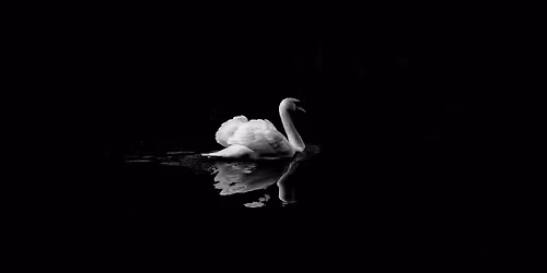 Detroit Symphony Orchestra - Tchaikovskys Swan Lake and Other Tales at Max M. and Marjorie S. Fisher Music Center - Orchestra Hall