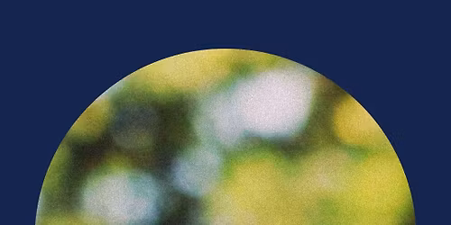 Komorebi - light through leaves a sonic exploration of light and shadow