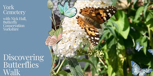 Guided Walk : Discovering Butterflies, with Nick Hall