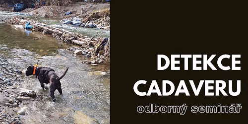 DETEKCE CADAVERU - Celodenn\u00ed odborn\u00fd semin\u00e1\u0159