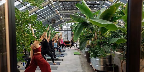 Yoga in the Greenhouse
