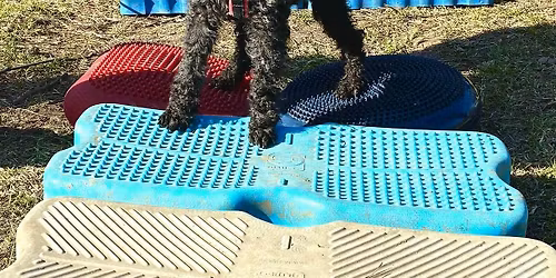 Besch\u00e4ftigungskurs