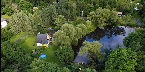 Sound & Forest Bathing and Yin Yoga Nature Experience