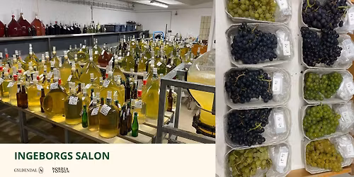 Talk om dansk vinfremstilling og FastGrapes m. lektor i frugtavl