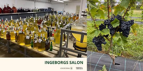 Talk om dansk vinfremstilling og FastGrapes m. lektor i frugtavl