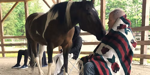 Healing Horses, Healing Breath, Cacao & Sound with Matthew Kocel