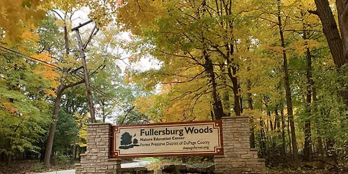 Fullersburg Woods Hike  