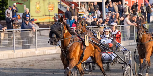 TRAVL\u00d8B - KOP OG KANDE GOLDEN LEAGUE FINALE 2026