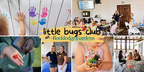 Little Bugs Learning Lab