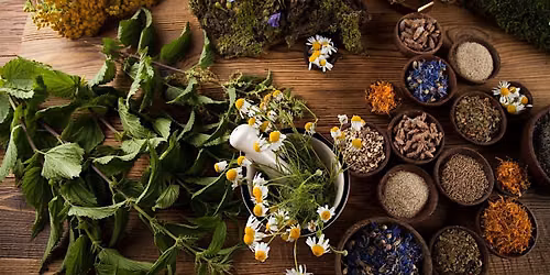 Herbs with Health in Mind