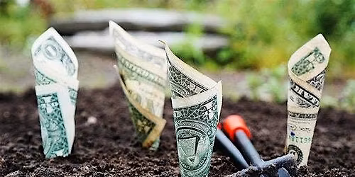 Investing Basics