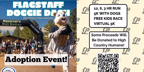 Doggie Dash