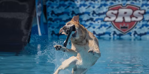 SRS Super Dock at Bassmaster Classic