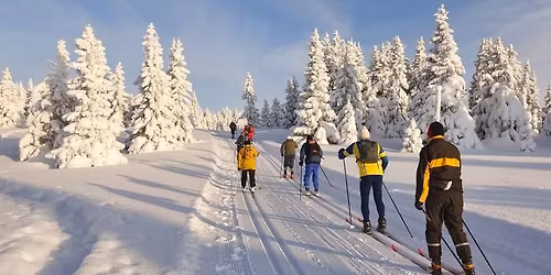 Bieg\u00f3wki w Jakuszycach *Premium* BEZ nocnego przejazdu i urlopu, 20-22.02.25 (weekend)