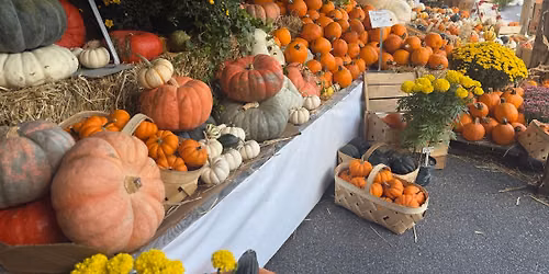 Polk\u2019s Plus Fall Festival