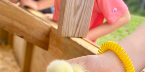 Little Sprouts Summer Camp 