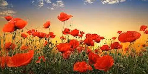 Bring Him Home : A Remembrance concert with Dishforth Military Wives Choir