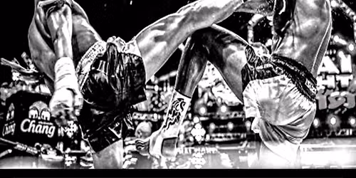 Conquista Muay Thai I