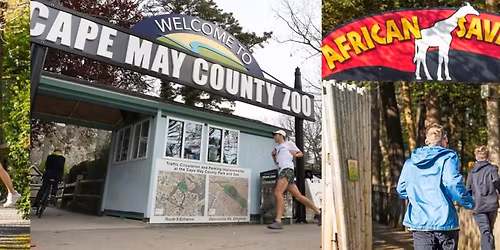 Run Wild for the Cape May Zoo 5K & 1M