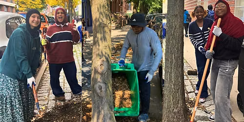Street Tree Care in Sunset Park