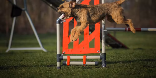 HRANICE - M\u010cR v agility pro BRT, PRT, JRT a MT