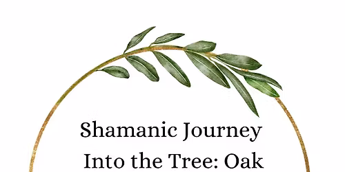Journeying Into the Tree: Oak